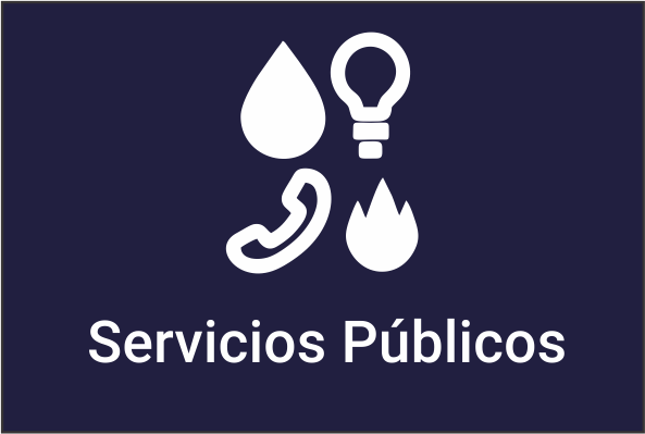 Dictamen pericial en servicios públicos