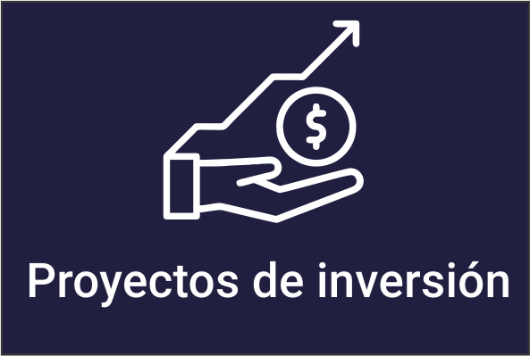 Proyectos de inversion dictamenes periciales